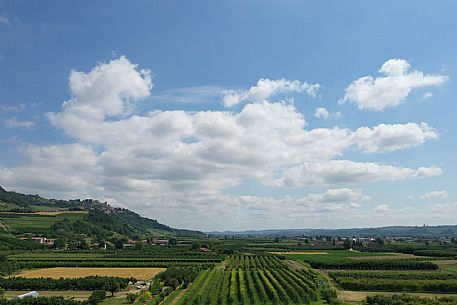 Roero Landscape